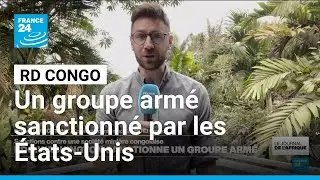 En RD Congo, les États-Unis sanctionnent un groupe armé • FRANCE 24