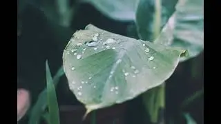 piano Soft Emotional Balance Music &mdash; Volume 69