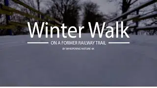 Winter walk after a heavy snowfall