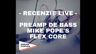 Mike Pope Flexcore Preamp - Warwick Vintage Thumb Bass