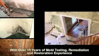 Sacramento & Central Valley Mold Testing, Inspection, Removal & Remediation Services