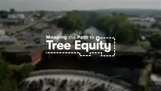 Mapping the Path to Tree Equity