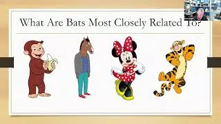 Bat Welfare Implications for Conservation, Education, and Awareness