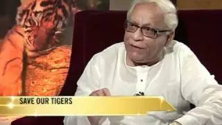 Save our tigers