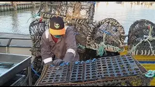 German Fishing Lobster Crab. 2 Filipino Crew prepare the Pots this month is coming  season.