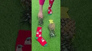 Super cool pineapple slippers 🍍🍍 Dog socks 🐶🐶 #love #satisfying #trendingshorts