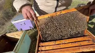 Iernare în lada pat rece, fund antivarroua.