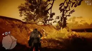 Rdr online tank build