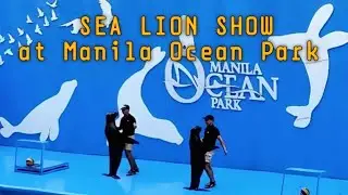 SEA LION'S SHOW at Manila Ocean Park | Napakagaling sumayaw