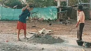 dos pob zeb ua laj kab os 16/01/26