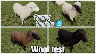 FS 22 Test #01 Wool Production Test