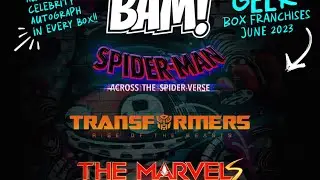 June The Bam! Geek Box reveals