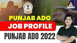 Punjab ADO Job Profile 2022 | Punjab ADO 2022