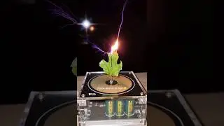 🍃 Music Tesla Coil experiment #teslacoil #fire