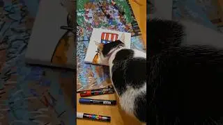 FLAG DAY CAT PAINTING 🇺🇸#flagday #catart #shorts