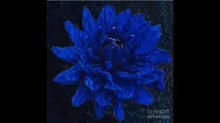 MY DIGITAL ART ON FINE ART AMERICA