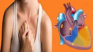 High Blood Pressure And Low Pulse: Is The Condition Concerning?