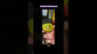 biting kiwi!??? #twitchstreamer #vtuber #twitchclips