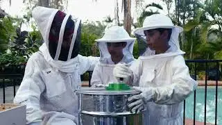 Costa and the bee boys