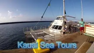 Kauai Sea Tours - Na'Pali Coast - Whales, Dolphins & Sharks!