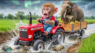 Monkey DLuffy Farm | Monkey Saves Drowning Elephant &ndash; Epic Animal Rescue on the Farm 😱🐘🐒