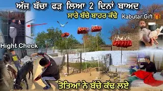 ਅੱਜ ਬੱਚਾ ਫੜ ਲਿਆ ਦੋ ਦਿਨਾਂ ਬਾਅਦ || ਤੋਤਿਆਂ ਨੇ ਬੱਚੇ ਕੱਢ ਲਏ 😍|| Kabutar Gift Millea 🎁 🕊️|| #kabootar