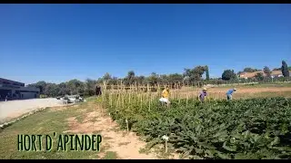 Hort d'APINDEP