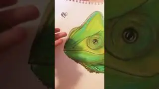 Realistic chameleon head drawing🦎