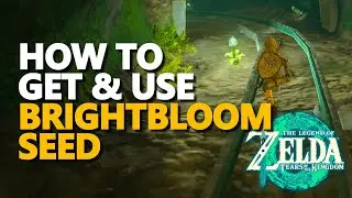 How to get & use Brightbloom Seed Zelda Tears of the Kingdom