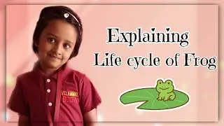 How a tadpole transforms into a frog