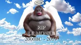le monke dies