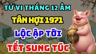 TỬ VI ĐẶC BIỆT TÂN HỢI 1971: LỘC ẬP TỚI Cuối Năm Hưởng Phúc An Nhàn, Tiền Của Về Đều
