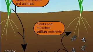 CTRL ALT DEL - Turf Fuel's Progressive Soil Reboot Program