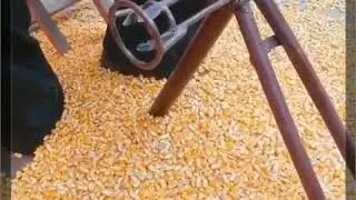 Desgranador de maiz manual