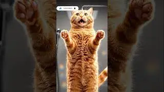 🐾🚿 Cat vs Shower 😂 Funniest Water Reaction Ever!  #funny #catvideos #catshorts #cats  #catmemes