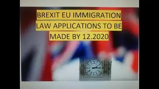 BREXIT IMMIGRATION APPLICATIONS by 12.2020