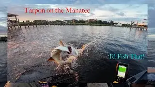 Tarpon on the Manatee | I'd Fish That