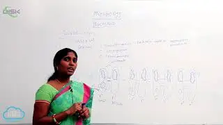 REPRODUCTION || SEXUAL REPRODUCTION OF BACTERIA || Disk Telangana