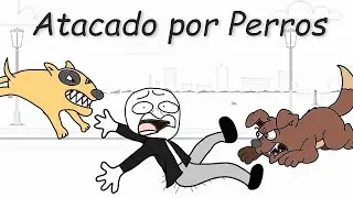MORDIDAS DE PERROS