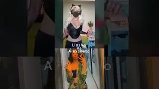 Alexcheto Vs Linsho