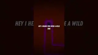 Jack Back, Sia, Nicky Romero, David Guetta - Wild One Two // Lyrics