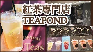 【Vlog】青山にあるハリーポッターの世界のようなハイセンスな紅茶専門店TEAPOND 【外苑前】