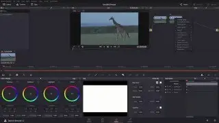 DaVinci Resolve 12 Basics - HOW TO APPLY LUT'S