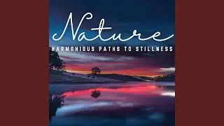 Paths to Stillness