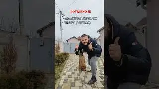 Pas beži iz Dvorista! Najbolja vežba za resavanje problema! #pas #obukapasa #mojpas #dresurapasa