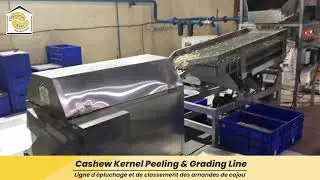 Cashew Kernel Peeling and Grading Machine  (+91) 95124 97976 | (+91) 95123 97976