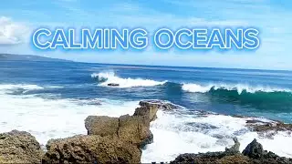 Flow Into Alignment in minutes | Ocean Energy & Empowering Affirmations for Renewal and Prosperity
