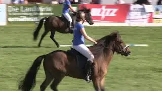 Mela 2018