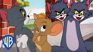 Tom et Jerry en Français 🇫🇷 | Le meilleur de Tom le Chat 🐱💙 | @WBKidsFrançais
