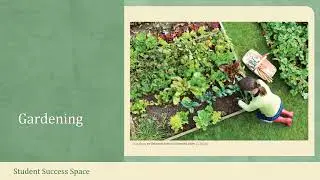 Develop Naturalistic Intelligence - Multiple Intelligences